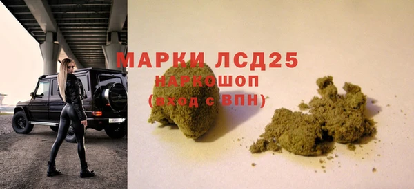 PSILOCYBIN Алзамай