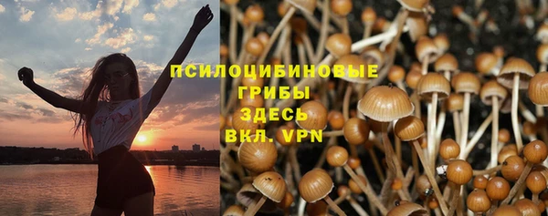 PSILOCYBIN Алзамай
