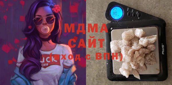 PSILOCYBIN Алзамай